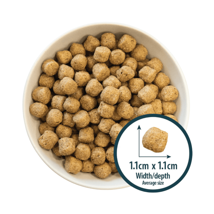 White background with a white bowl of dry dog food and a circle with a close up picture of a single kibble with the size displayed beneath '1.1cm x 1.1cm, width/depth, average size'.