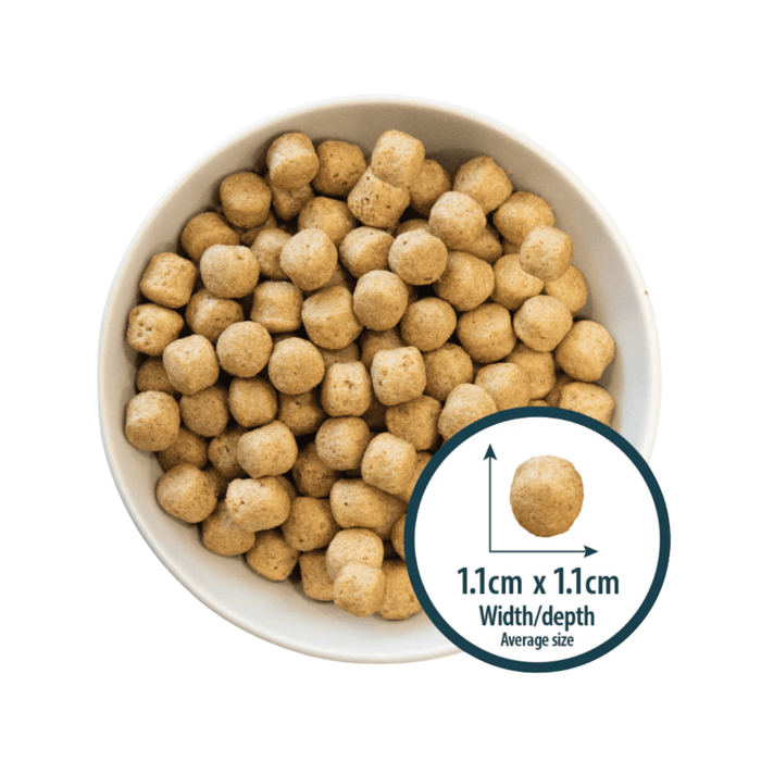 White background with a white bowl of dry dog food and a circle with a close up picture of a single kibble with the size displayed beneath '1.1cm x 1.1cm, width/depth, average size'.