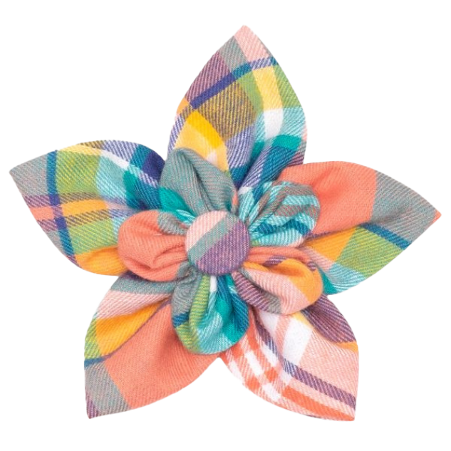 DOG-COLLAR-SLIDER-FLOWER-PEACH-PLAID