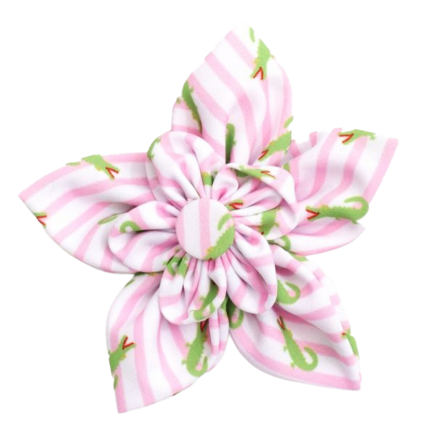 DOG-COLLAR-SLIDER-FLOWER-ALLIGATORS