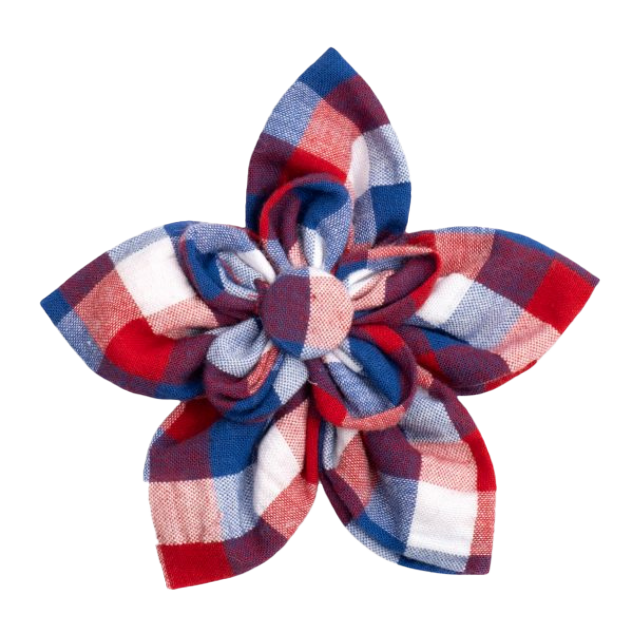 DOG-COLLAR-SLIDER-FLOWER-RED-WHITE-BLUE-PLAID