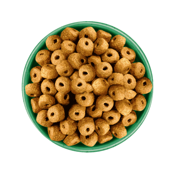 White background with a green bowl pictured filled with dog food kibbles.