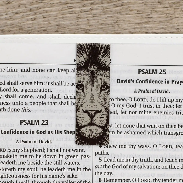 Magnetic Bookmark Set Strong and Courageous