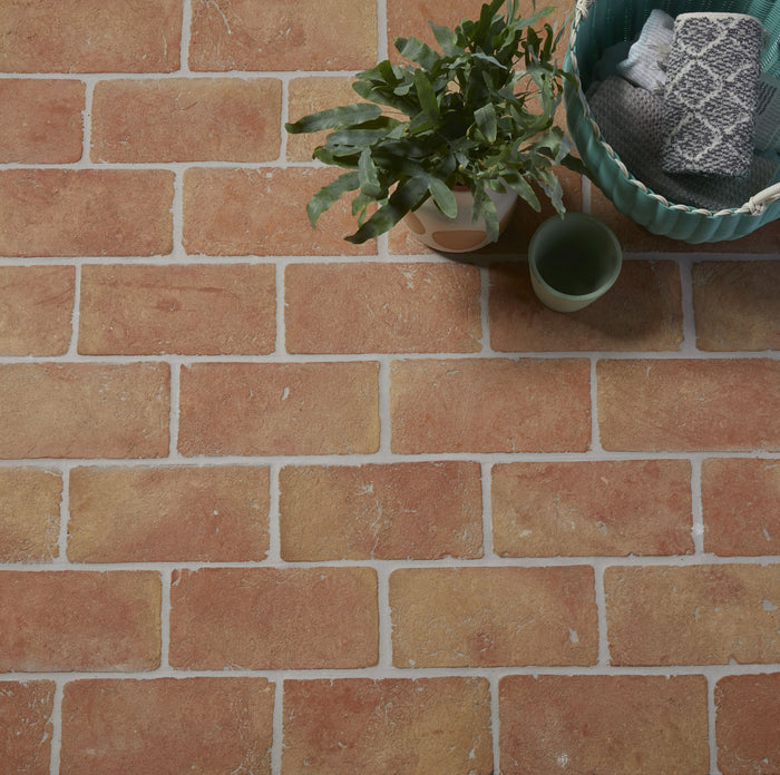 Terracotta floor with a plant
