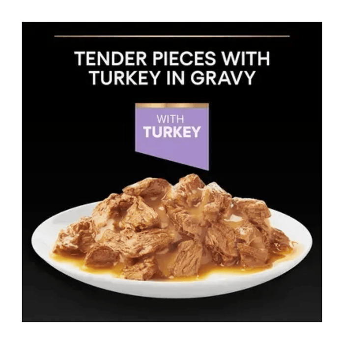 Black background with a white plate of Pro Plan kitten wet food pictured above the plate is text 'Tender pieces with Turkey in Gravy'.