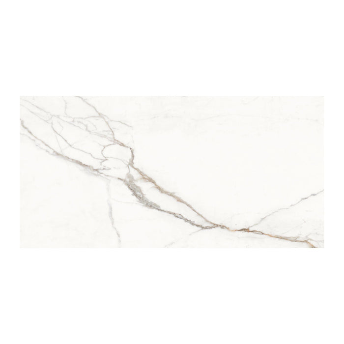 Marble effect tile with grey brown veining on a white background.