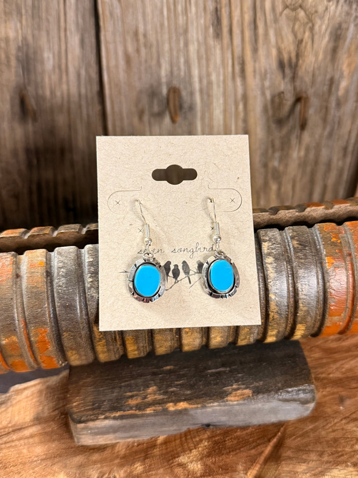 Turquoise oval fishhook earrings with silver-tone wire and dangling drop stone