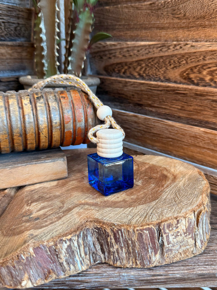 Fall Car Diffusers - 8 Scents!!! 🍂