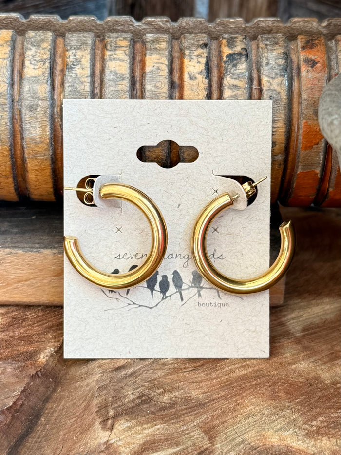 Gold-plated hoop earrings with clasp closure, polished gold finish