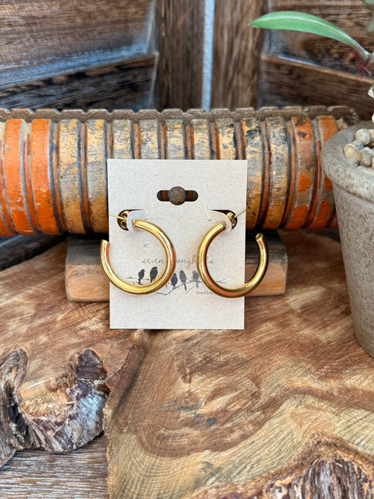 Gold-plated stainless steel hoop earrings, large round hoops shown on a display card