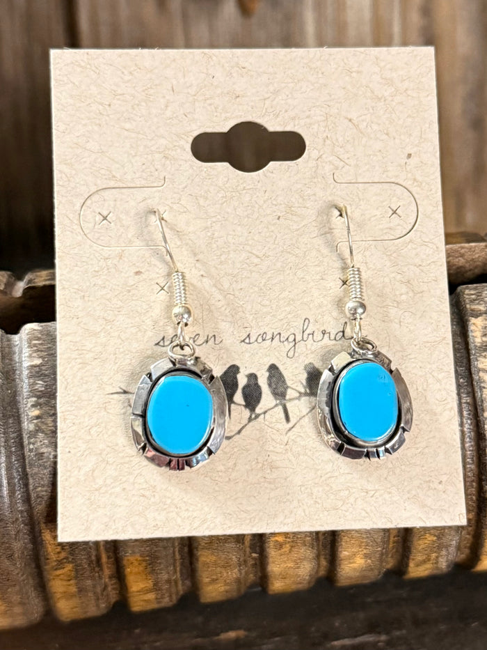 Turquoise oval fishhook earrings, silver-tone settings with silver bead hooks