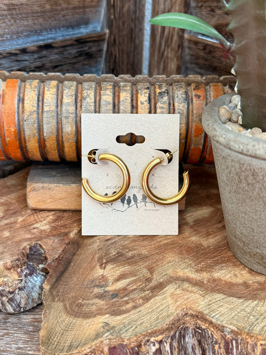 Gold-plated stainless steel hoop earrings, simple round hoops