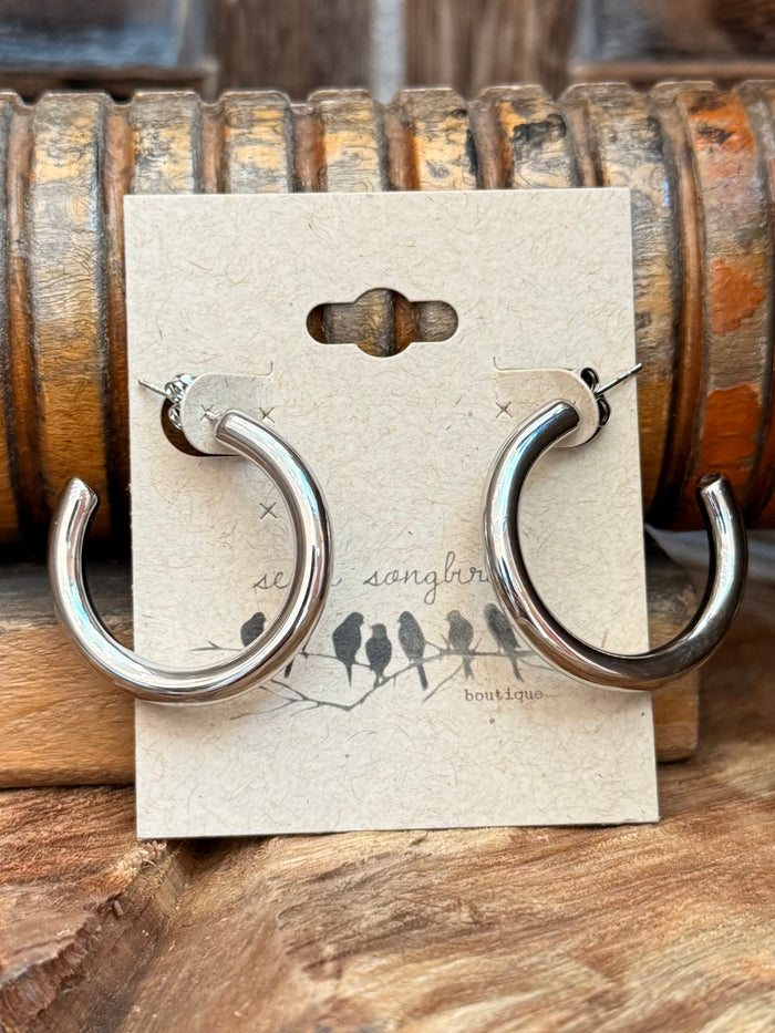 30mm silver stainless steel hoop earrings, round profile, hinged clasp, on card