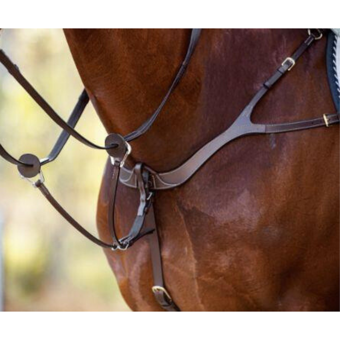 Anatomic Breastplate