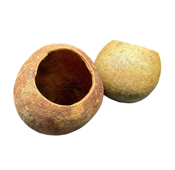 Bell Cup Pods: earth-toned hollow gourd halves with rustic texture