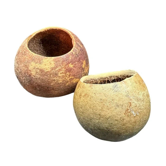 Two rustic Bell Cup Pods gourd bowls in earthy tones