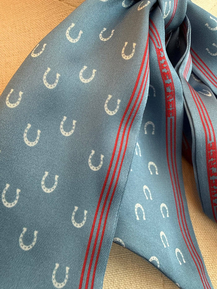 Blue Horseshoes Twilly Scarf