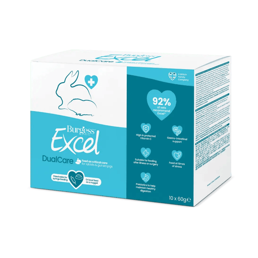 White background with a blue and white box of Burgess Excel DualCare feed for Rabbits and Guinea Pigs. Box text says 'Feed as critical care for Rabbits and Guinea Pigs.'