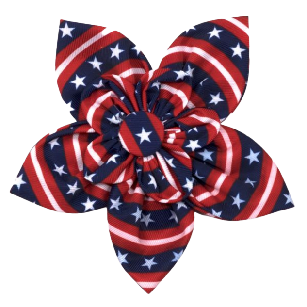 DOG-COLLAR-SLIDER-FLOWER-STARS-STRIPES