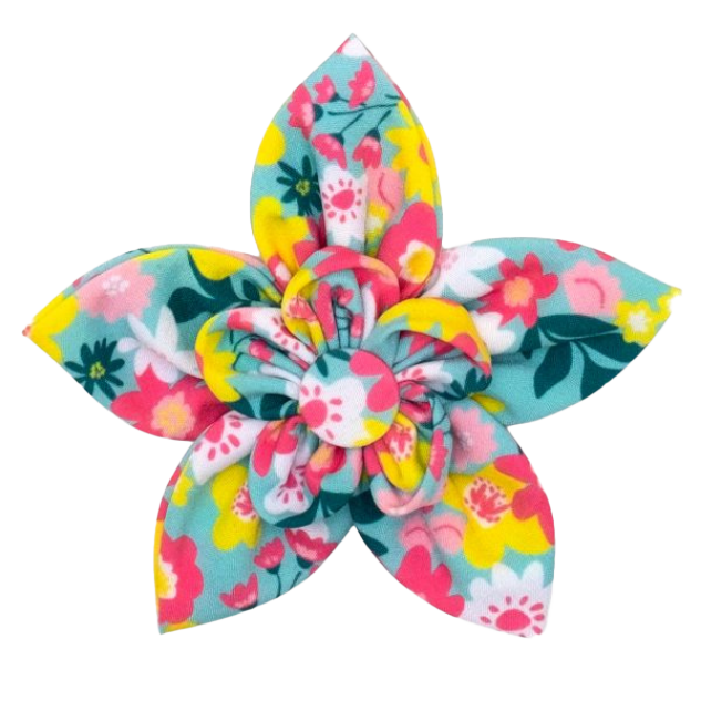 DOG-COLLAR-SLIDER-FLOWER-SPRING-BOUQUET