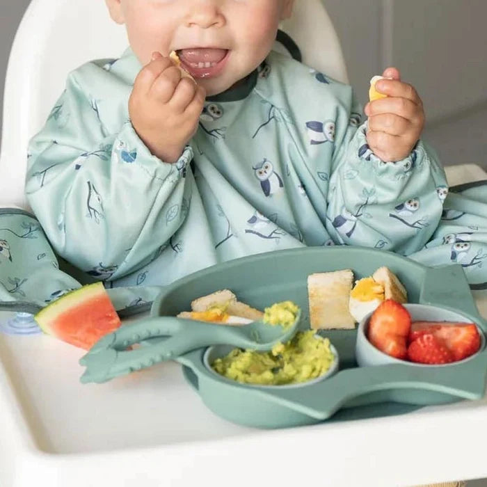 Easy Weaning Essentials Cover & Catch