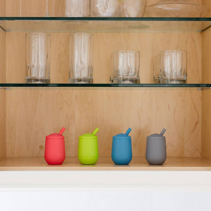 Ezpz Mini Cup and Straw Training System