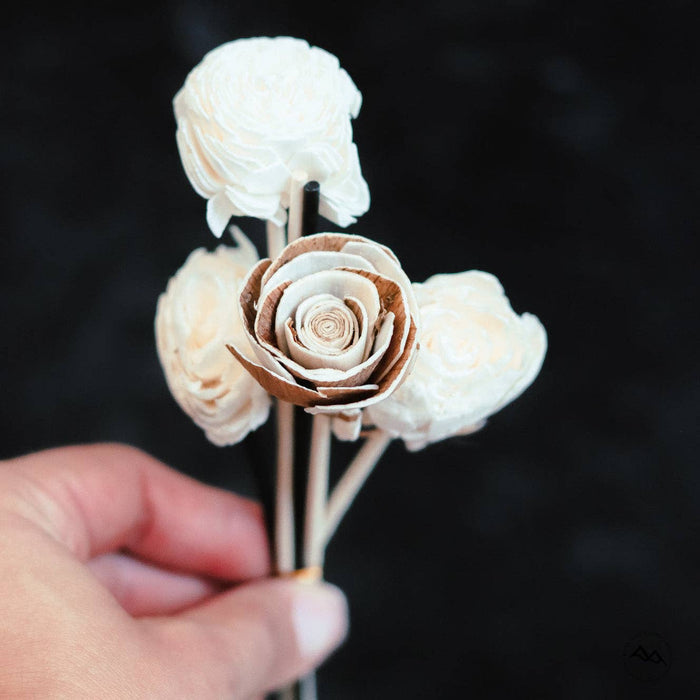 Flower Reeds - Sola Wood Rattan Reeds Refill - Set of 6