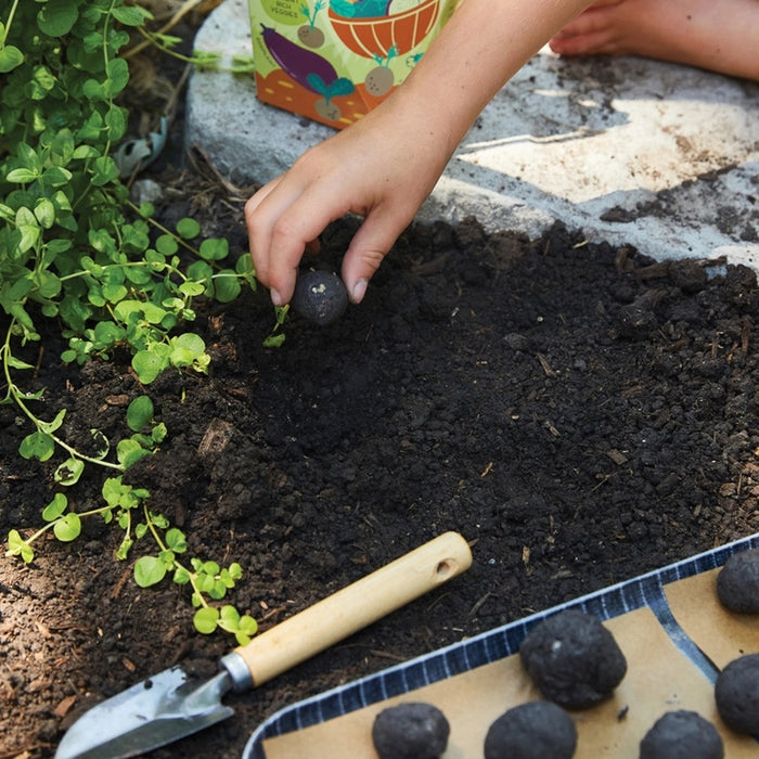 Flower Seed Ball Kit
