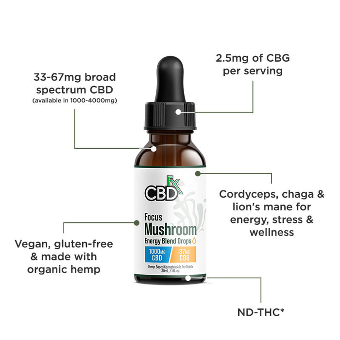 Focus Blend Mushroom Tincture + CBG + CBD
