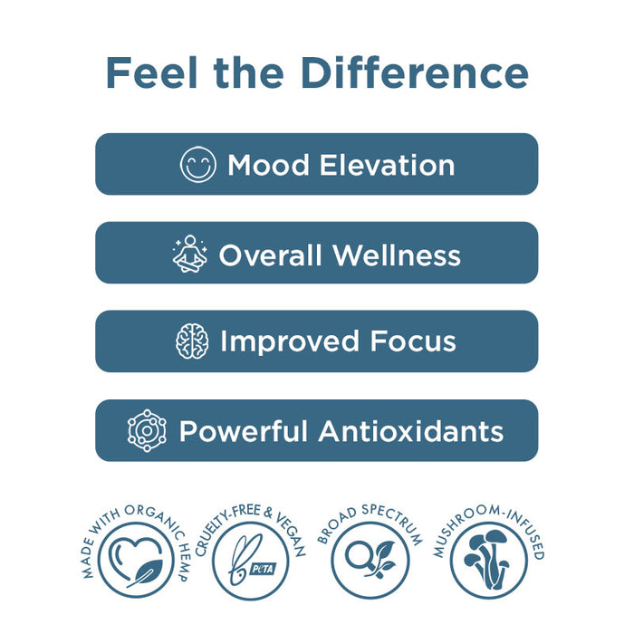 Focus Blend Mushroom Tincture + CBG + CBD