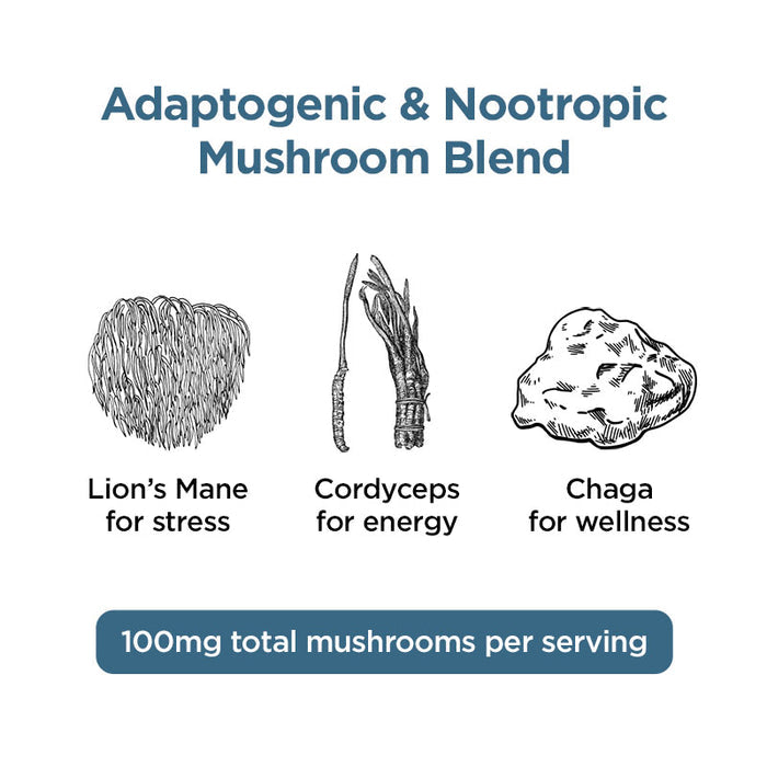 Focus Blend Mushroom Tincture + CBG + CBD