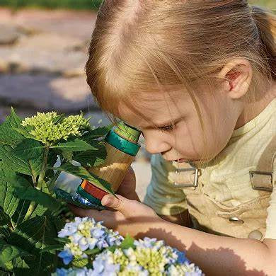 Hape Nature Fun Field Microscope 6 Pce