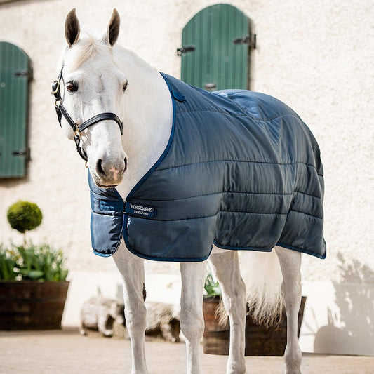 Grey horse wearing a navy liner rug with navy trim.