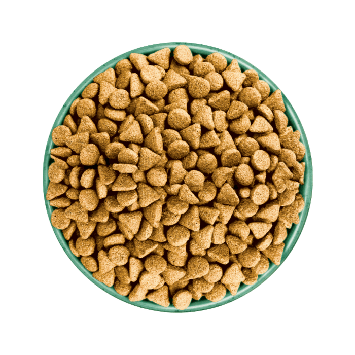 White background with a green bowl pictured filled with dog food kibbles.