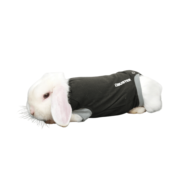Kruuse BUSTER Body Suit For Rabbits