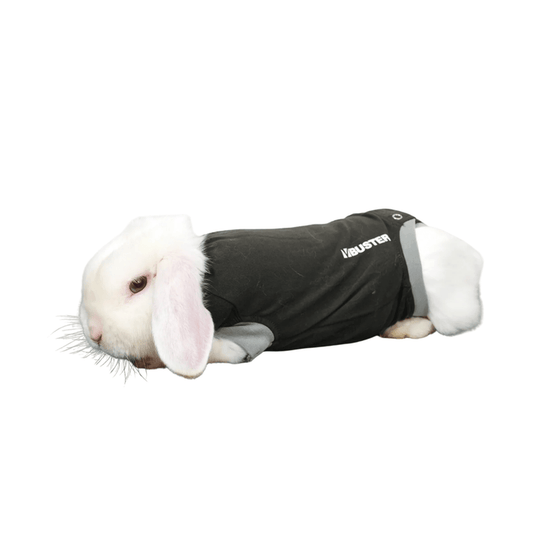 Kruuse BUSTER Body Suit For Rabbits