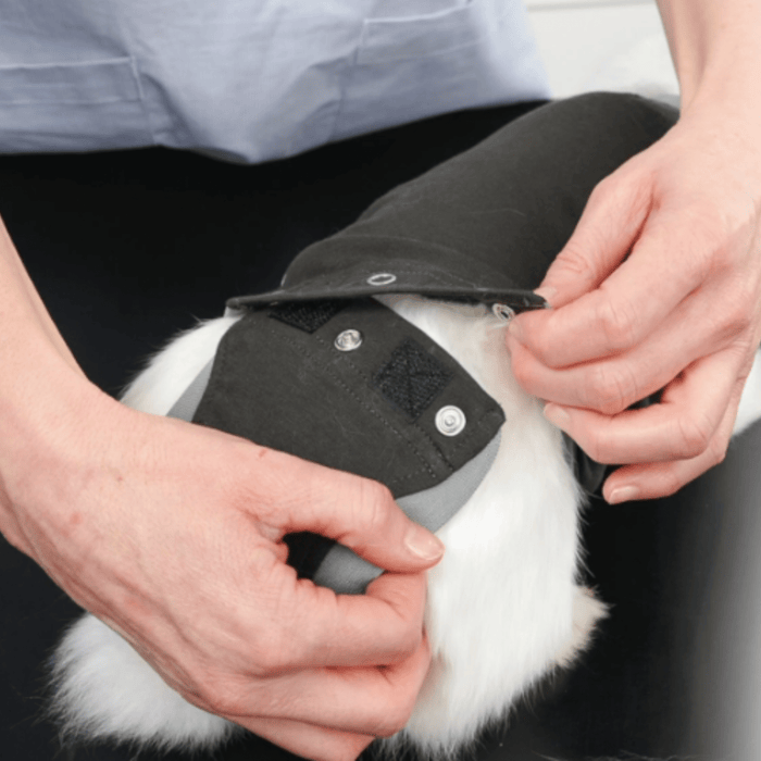 Kruuse BUSTER Body Suit For Rabbits