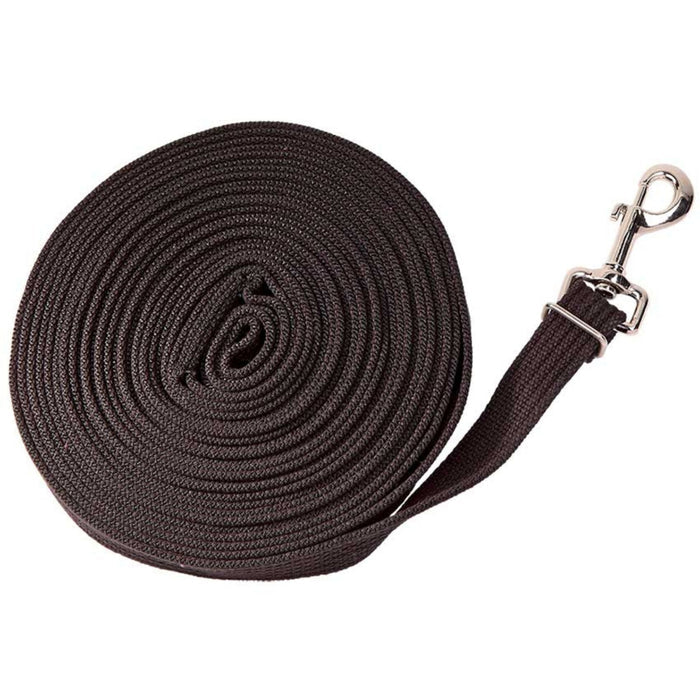 Black lunge rein with silver clip