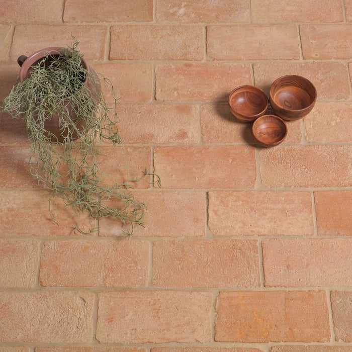 Terracotta tiles with a plant and wooden bowls