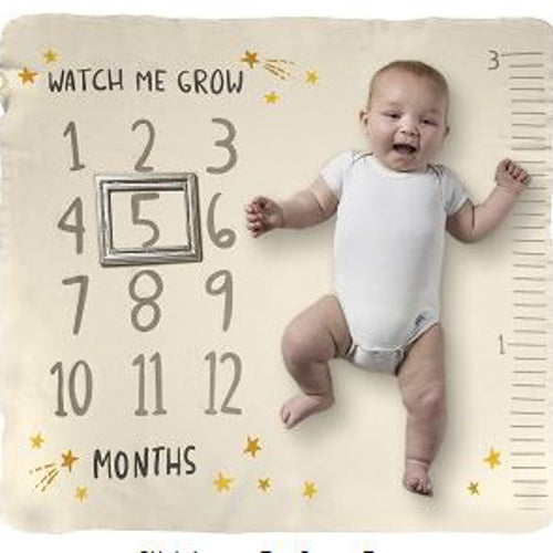 Milestone Blanket