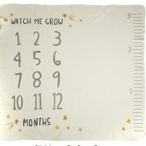 Milestone Blanket