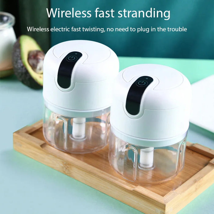 Mini Electric Food Grinder