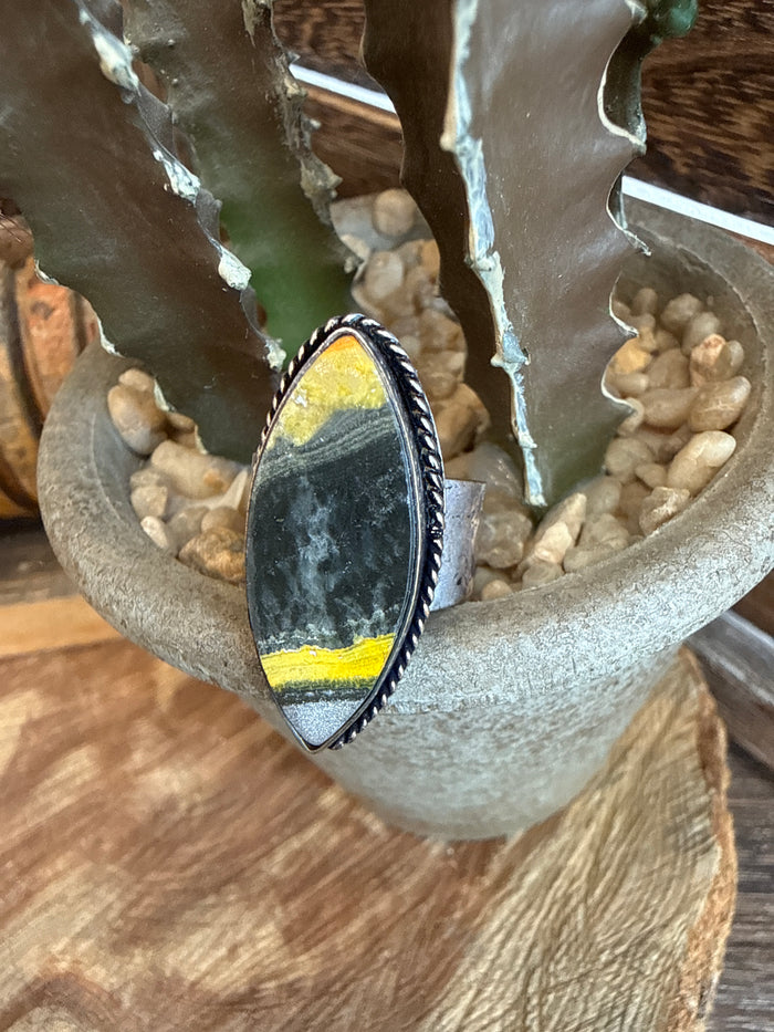 Adjustable ring with oval dark stone with yellow streak in silver-toned bezel