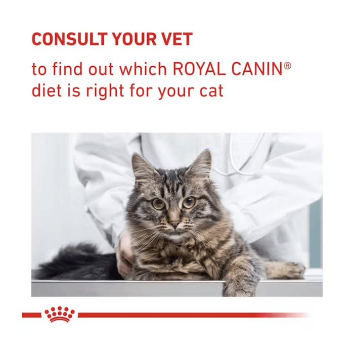 A tabby cat is pictured on a vet table with a vet examining the cat. Above is red text on a white background 'Consult your vet to find out which Royal Canin diet is right for your cat'.