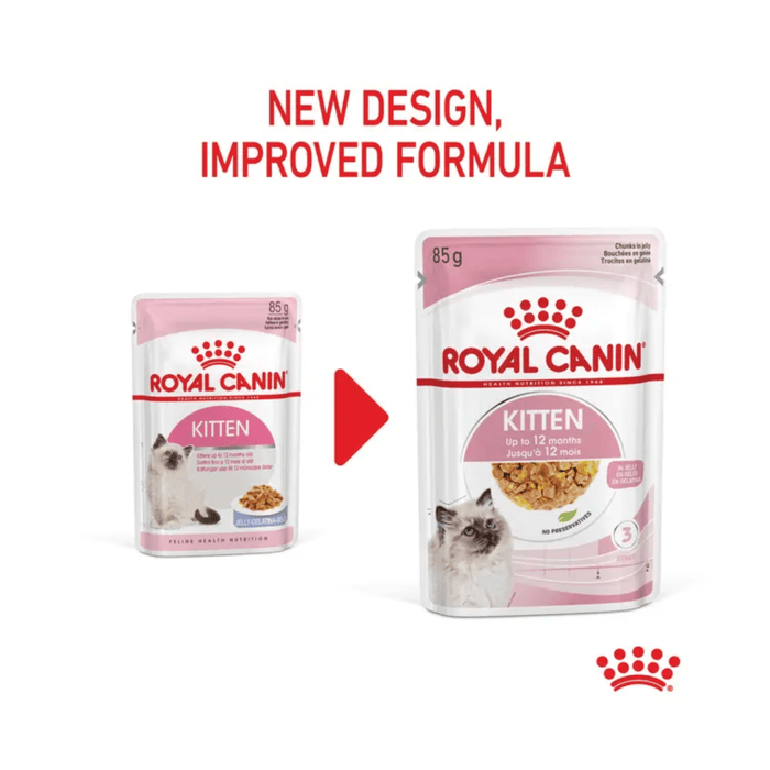 White background with a picture of the old style of Royal Canin kitten chunks in jelly wet food, with new design also shown.