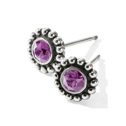 Twinkle Mini Post Earrings - Amethyst