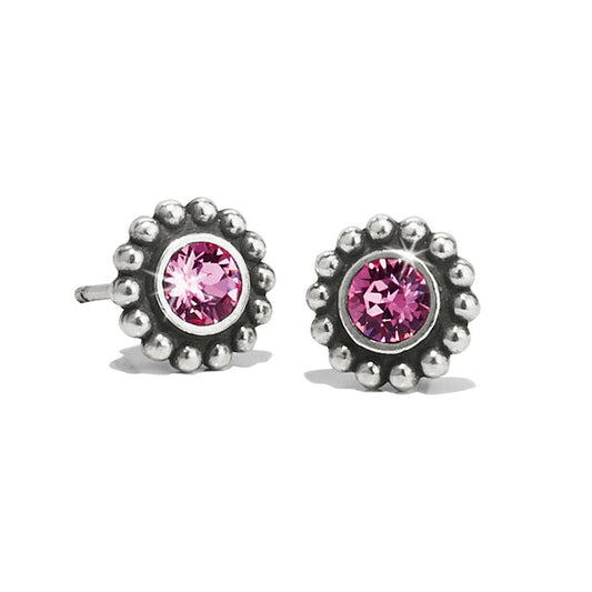 Twinkle Mini Post Earrings - Rose