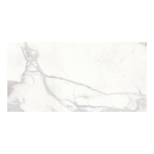 Rectangular white marble effect tile with grey veining.