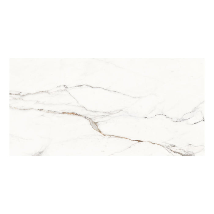 Marble-patterned tile on a white background