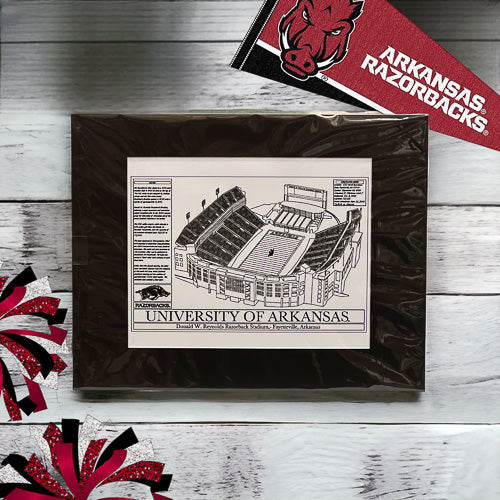 University Football Stadium Art Print